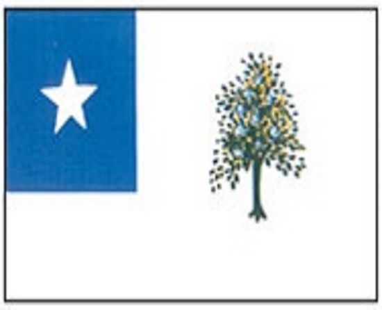 The Magnolia Flag