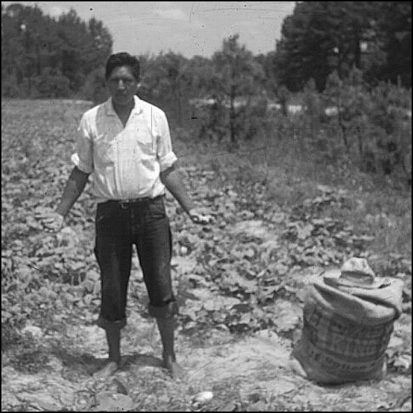 Choctaw agricultural worker, 1965.