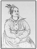 Choctaw Chief Mushulatubbee Sketched by George Catlin in the 1830s