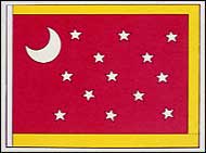 40th Mississippi Infantry Regiment Battle Flag
